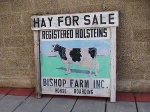 Collectible Signs // For Sale "Hay"